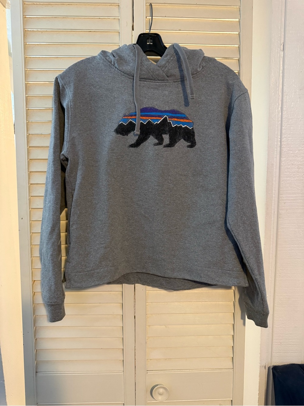 Patagonia Gray Hoodie with Mountain Stripe Bear Graphic